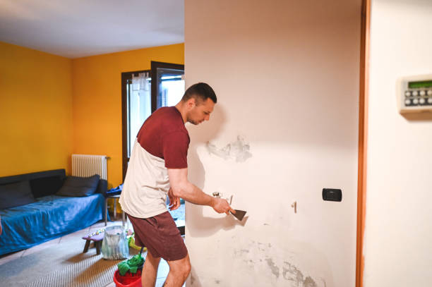 Best Emergency Mold Remediation in Laureles, TX